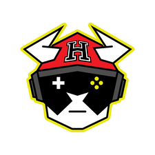 HN Vikings Esport Logo